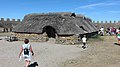 0626 2008-07-29 Eketorp, Öland