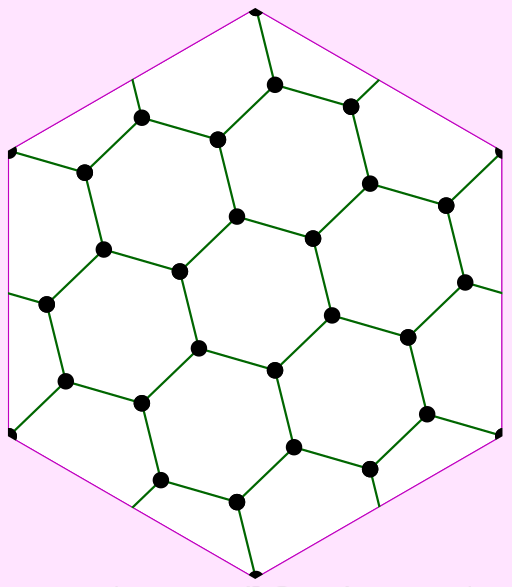 File:F026 graph embedded in torus.svg