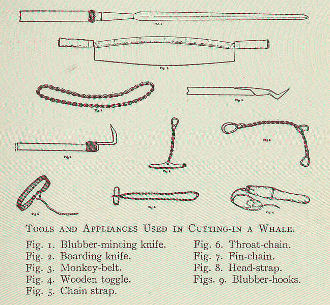 File:FMIB 47612 Tools and Appliances Used in Cutting-In a Whale.jpeg