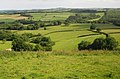 Farmland, Ridlers Farm - geograph.org.uk - 3537223.jpg