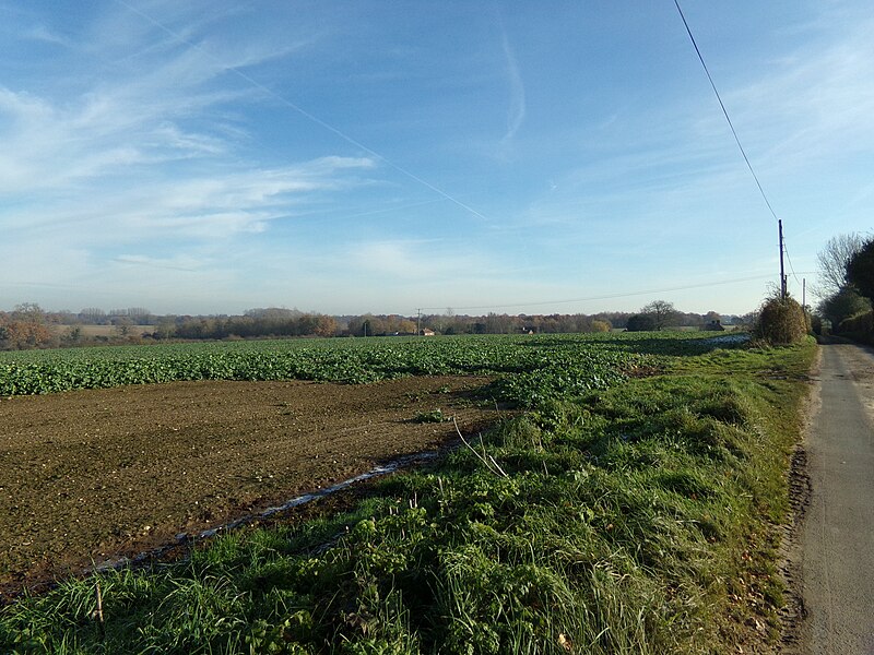 File:Farmland off Kerdiston Road - geograph.org.uk - 5213828.jpg