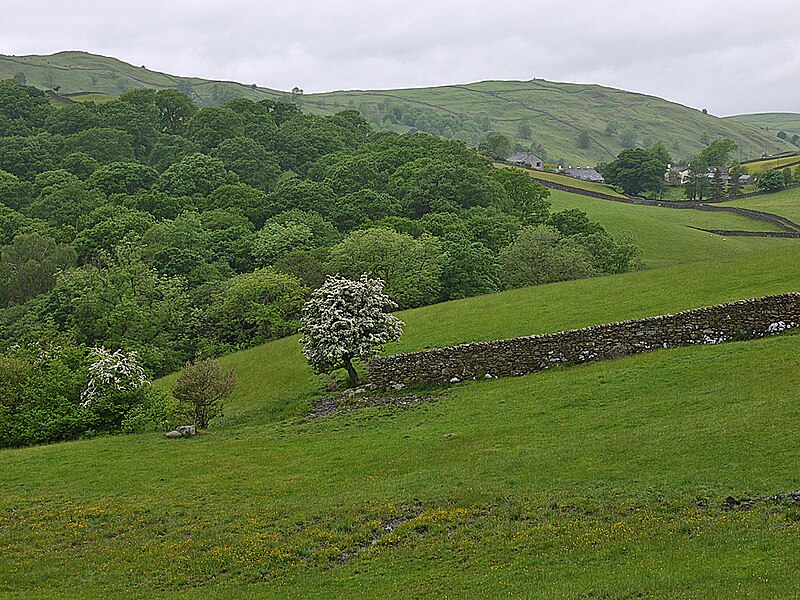 File:Fields west of Hall Lane - geograph.org.uk - 3542681.jpg