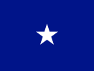 Flag of an Air Force brigadier general