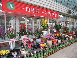 Traditionally, Cantonese buy flowers to give as gifts and decorate their homes during Lunar New Year, resulting in the proliferation of flower fairs before and during Lunar New Year. Guangzhou, the cultural capital of Lingnan, has even been called "the flower city". Flowermarket1.jpg