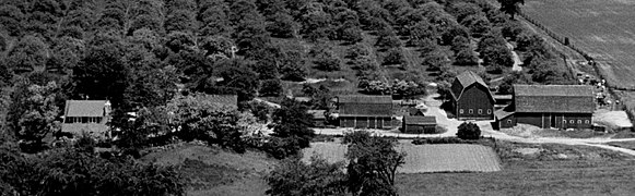 Fuerst Farm c 1950.jpg