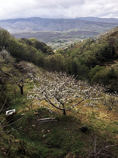 File:Garganta de los Infiernos.jpg