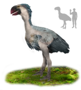 Gastornis