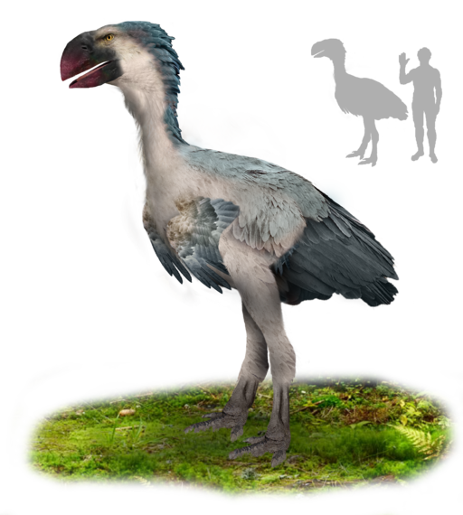 Gastornis