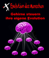 Gehirne steuern ihre eigene Evolution komplett © CC BY-SA backlink to evolution-berlin.de.png