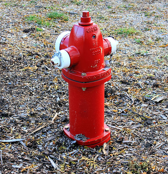 File:Gfp-fire-hydrant.jpg