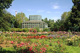 Бухарестський ботанічний сад