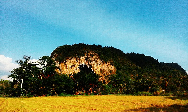 File:Gua Kerbau Kodiang Kedah5(1).jpg