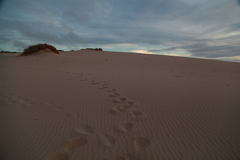 File:Guincho Sunset (21128054441).jpg