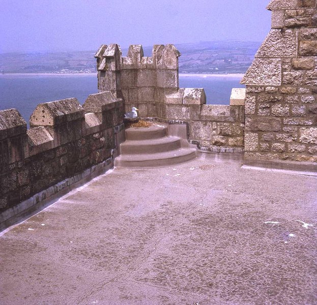 File:Gull nesting at the top of St Michael's Mount - geograph.org.uk - 716750.jpg