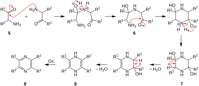 File:Gutknecht-Pyrazinsynthese MT2V1.svg