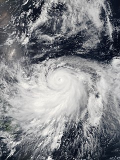 Typhoon Halong (2014)