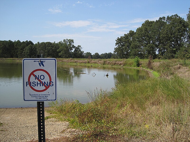 File:Hatchie Natl Wildlife Refuge 063.jpg