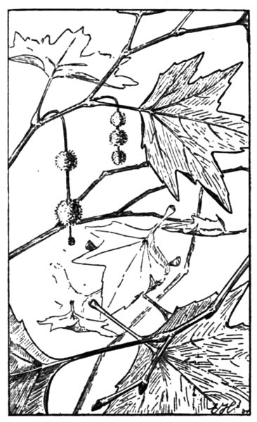 File:Heimans1906Wandelen p161c.png