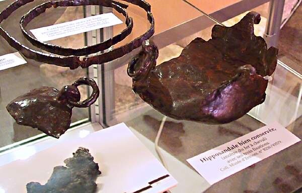 A hipposandal, a predecessor to the horseshoe