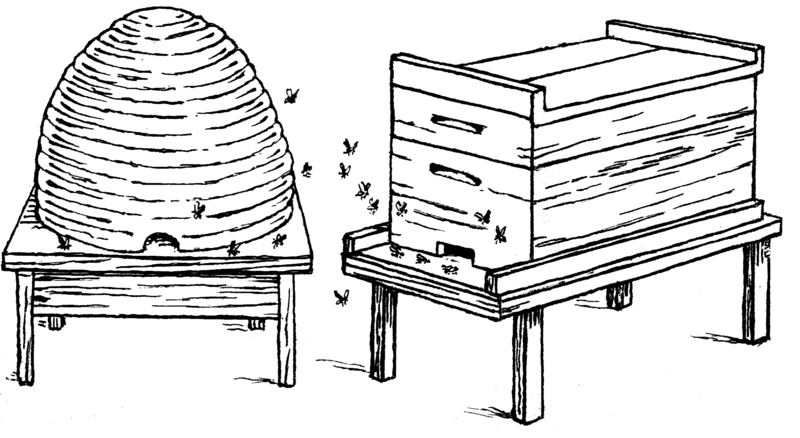 File:Hives (PSF).png