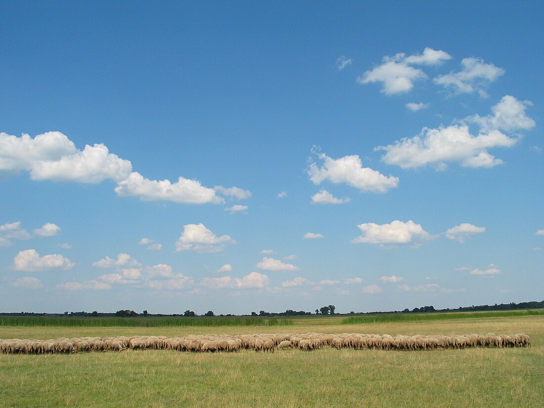 Národný park Hortobágy