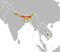 Houbaropsis bengalensis map.png