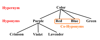 Hyponymy and hypernymy Semantic relations involving the type-of property