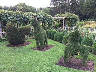 <span class="mw-page-title-main">Green Animals Topiary Garden</span> Topiary garden in Portsmouth, Rhode Island