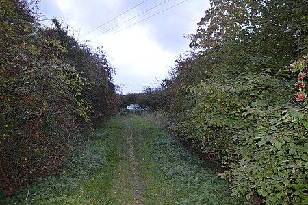 Isleham Nature Reserve 4