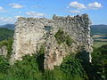 Jasenovský hrad (jún 2008)