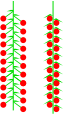 Ament (racemós o espigat)