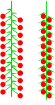 Neue Vektorgrafik