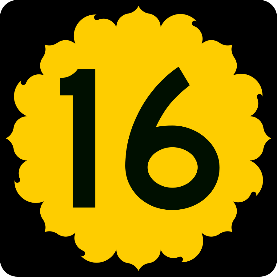 16 svg