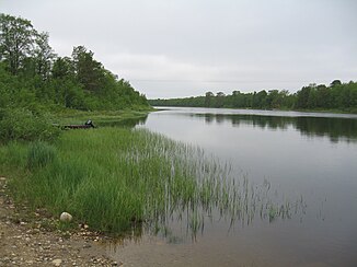 Kaamasjoki