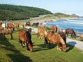 2012年1月11日 (水) 16:37時点における版のサムネイル