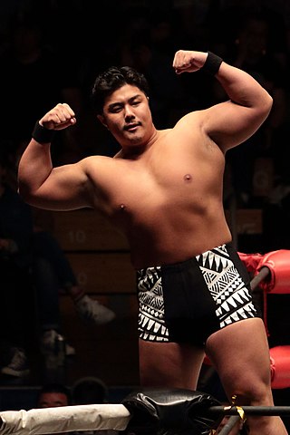 <span class="mw-page-title-main">Koji Doi</span> Japanese professional wrestler