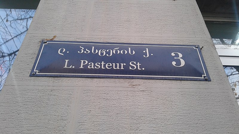 Файл:L. Pasteur St. (Tbilisi).jpg