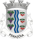 Vlag van Penajóia