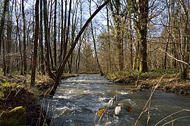 La rivière La Gourbe au fond de la vallée.