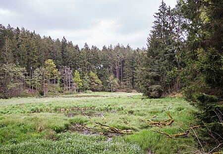 Landschaftsschutzgebiet Rotenbachtal