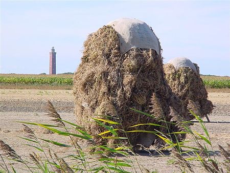 Landschap ouddorp