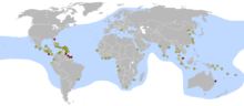 Yumurtlama yerleri leatherback turtles.png