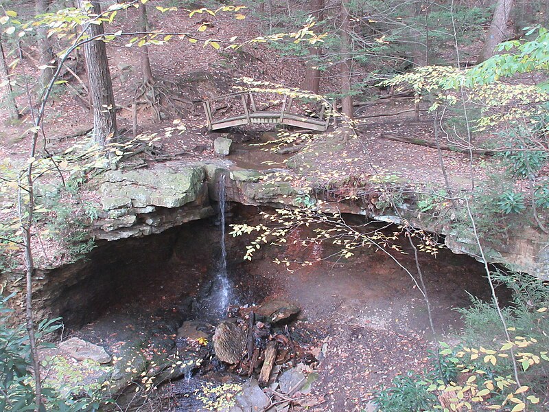 File:Linn Run Adams Falls.jpg