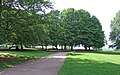 Blick auf die von Bäumen und Mauerwerk gesäumte große Rotunde im Lohrpark