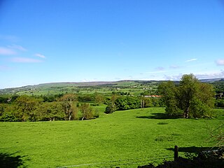 <span class="mw-page-title-main">Weardale</span> Open valley in County Durham, England