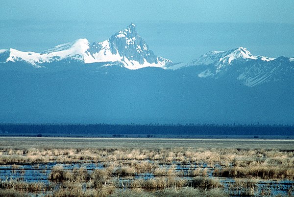 Marshlands in the Upper Klamath Basin today are remnants of the vast Lake Modoc. Mount Thielsen in the background.