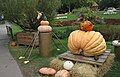 Ludwigsburg-Schlossgarten-Kuerbisfest-32-2014-gje.jpg