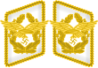 Luftwaffe collar tabs Generaloberst 3D.svg