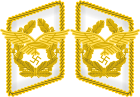 Luftwaffe yoqa yorliqlari Generaloberst 3D.svg