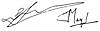 Maastricht Signature Bélgica.jpg